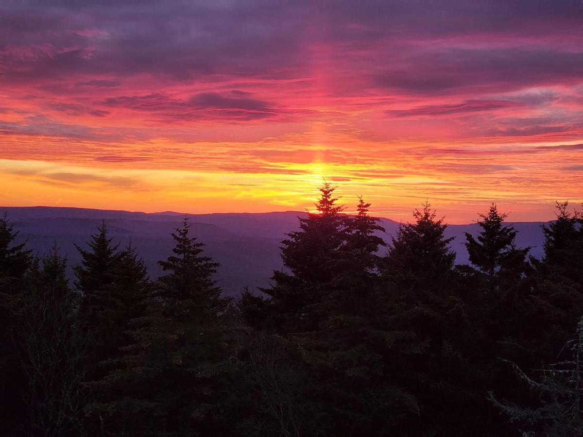 Snowshoe Ski-In & Ski-Out At Silvercreek Resort - Family Friendly, Jacuzzi, Hot Tub, Mountain Views Bagian luar foto